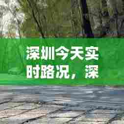 深圳今天实时路况,深圳今天实时路况最新