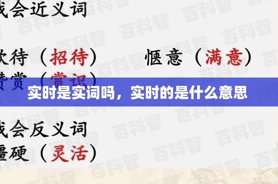 实时是实词吗,实时的是什么意思