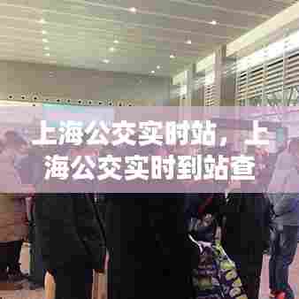 上海公交实时站,上海公交实时到站查询