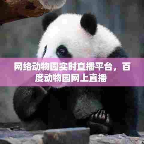 网络动物园实时直播平台,百度动物园网上直播
