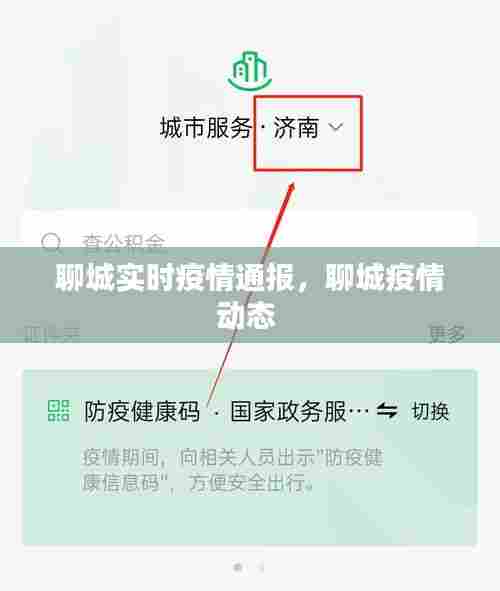 聊城实时疫情通报,聊城疫情动态