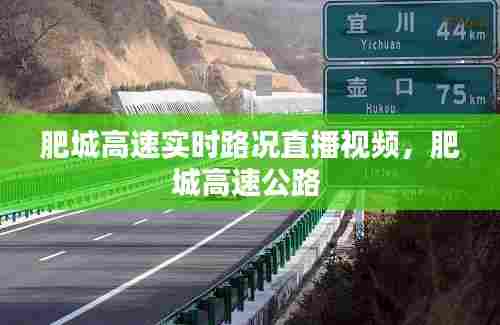 肥城高速实时路况直播视频,肥城高速公路