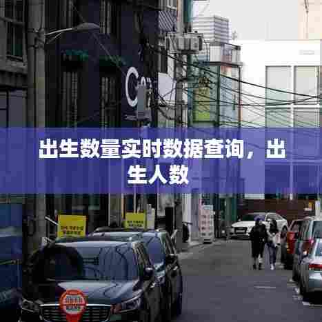 出生数量实时数据查询,出生人数
