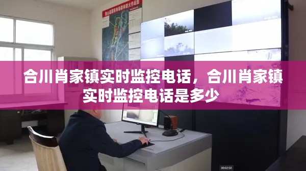 合川肖家镇实时监控电话,合川肖家镇实时监控电话是多少