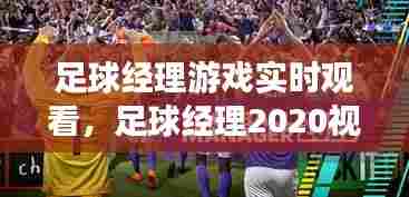 足球经理游戏实时观看,足球经理2020视频