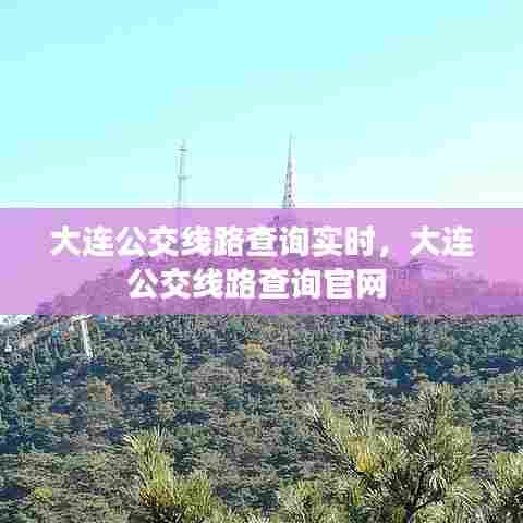 大连公交线路查询实时,大连公交线路查询官网