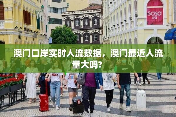 澳门口岸实时人流数据,澳门最近人流量大吗?