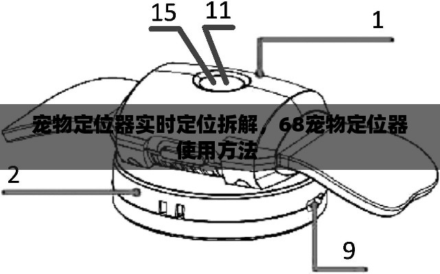 宠物定位器实时定位拆解,68宠物定位器使用方法