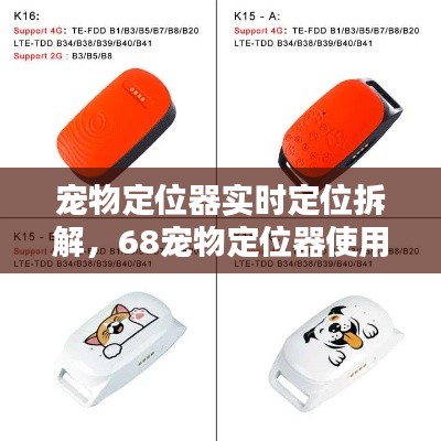 宠物定位器实时定位拆解,68宠物定位器使用方法
