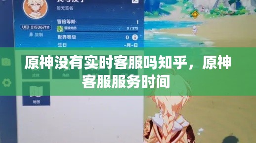 原神没有实时客服吗知乎,原神客服服务时间