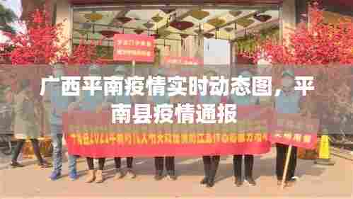 广西平南疫情实时动态图,平南县疫情通报