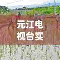 元江电视台实时播放,元江县电视台