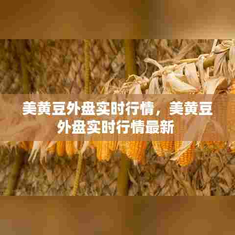 美黄豆外盘实时行情,美黄豆外盘实时行情最新