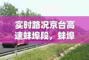 雍荣闲雅 第7页