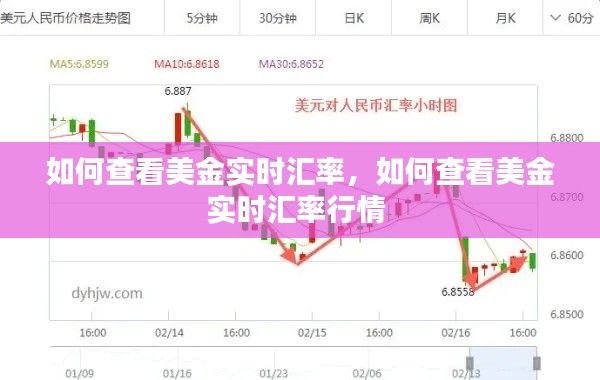 如何查看美金实时汇率,如何查看美金实时汇率行情