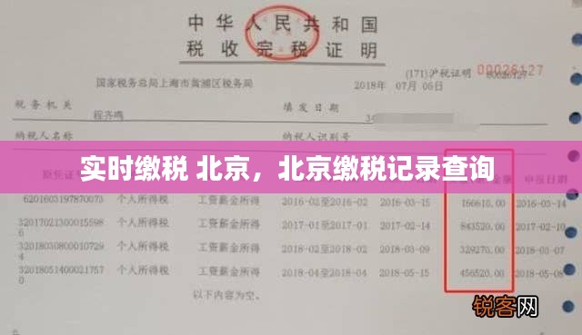 实时缴税 北京,北京缴税记录查询