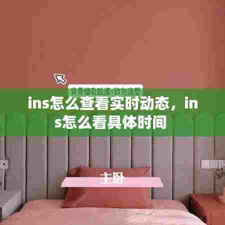 ins怎么查看实时动态,ins怎么看具体时间