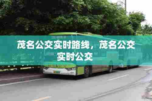 茂名公交实时路线,茂名公交实时公交