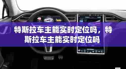 特斯拉车主能实时定位吗,特斯拉车主能实时定位吗