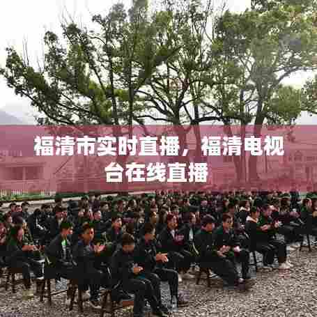 福清市实时直播,福清电视台在线直播