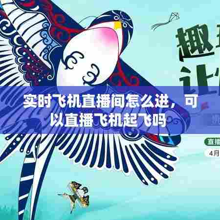 实时飞机直播间怎么进,可以直播飞机起飞吗