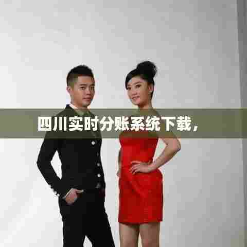 四川实时分账系统下载,