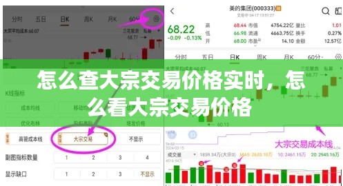 怎么查大宗交易价格实时,怎么看大宗交易价格