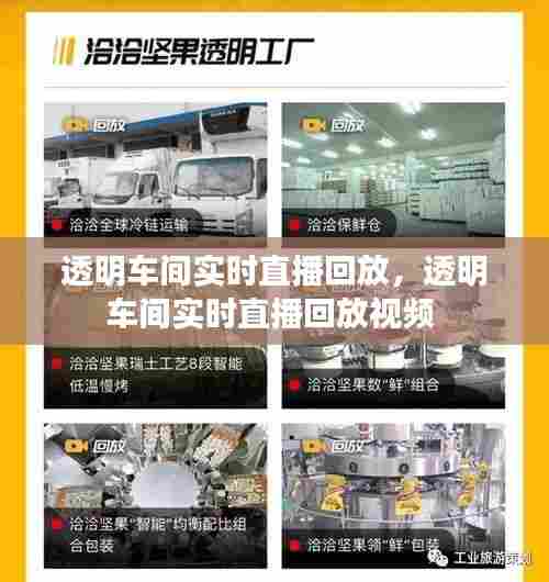 透明车间实时直播回放,透明车间实时直播回放视频