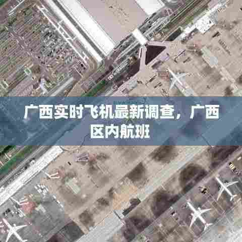 广西实时飞机最新调查,广西区内航班