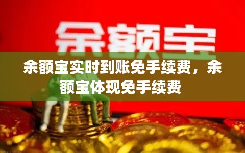 余额宝实时到账免手续费,余额宝体现免手续费