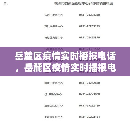 屦贱踊贵 第7页