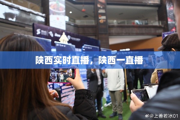 陕西实时直播,陕西一直播