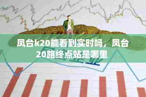 凤台k20能看到实时吗,凤台20路终点站是哪里