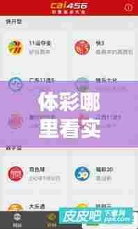 体彩哪里看实时赔率,