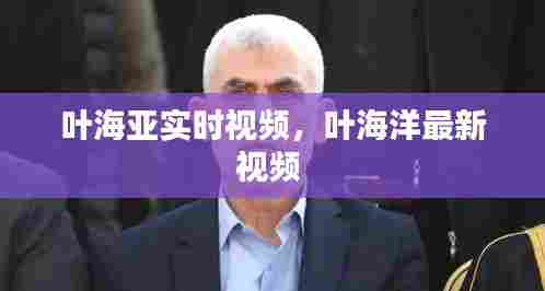 叶海亚实时视频,叶海洋最新视频