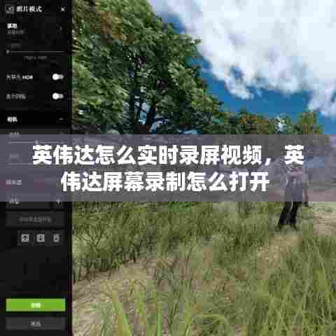 英伟达怎么实时录屏视频,英伟达屏幕录制怎么打开