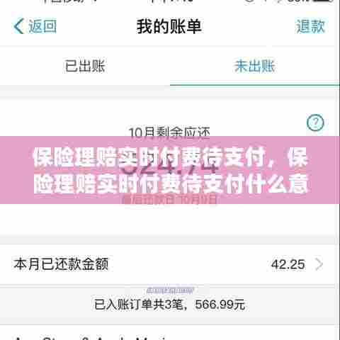 保险理赔实时付费待支付,保险理赔实时付费待支付什么意思