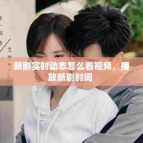 新剧实时动态怎么看视频,播放新剧时间