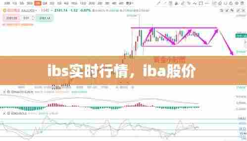 ibs实时行情,iba股价