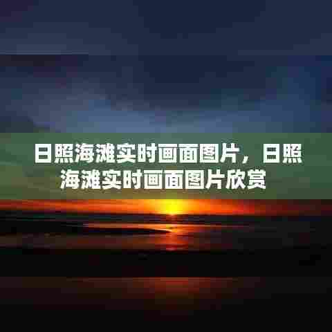 日照海滩实时画面图片,日照海滩实时画面图片欣赏