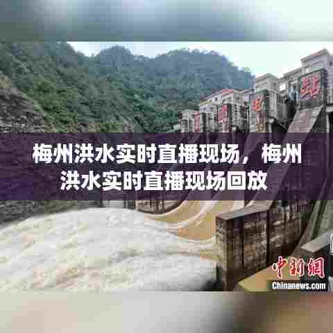 梅州洪水实时直播现场,梅州洪水实时直播现场回放