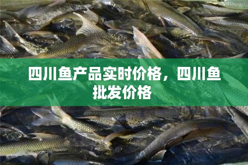 四川鱼产品实时价格,四川鱼批发价格