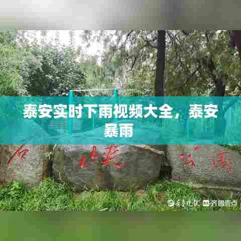 泰安实时下雨视频大全,泰安暴雨