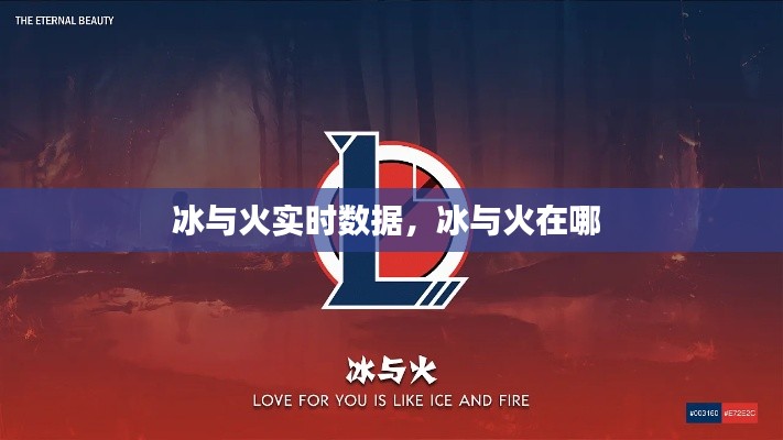 冰与火实时数据,冰与火在哪