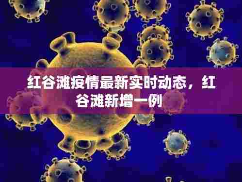 红谷滩疫情最新实时动态，红谷滩新增一例 