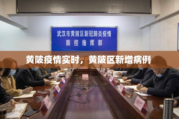 黄陂疫情实时,黄陂区新增病例