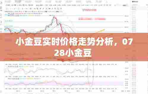 小金豆实时价格走势分析,0728小金豆