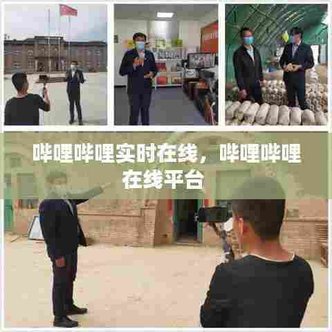 哔哩哔哩实时在线,哔哩哔哩在线平台