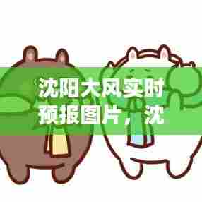 沈阳大风实时预报图片,沈阳大风天