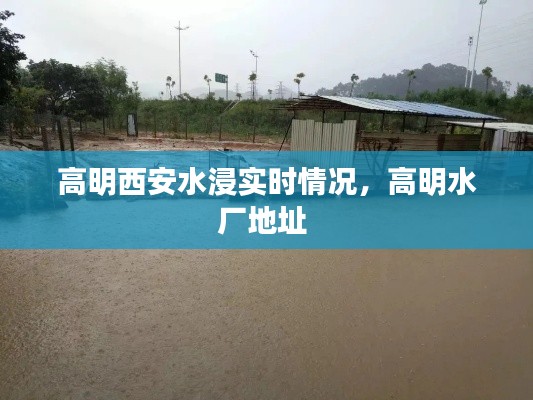 高明西安水浸实时情况,高明水厂地址